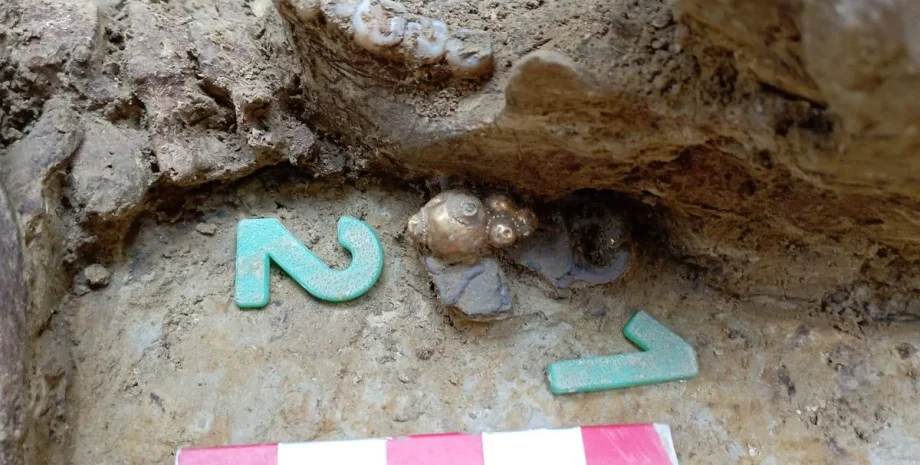 Археологи нашли раннеаварское кладбище в Венгрии