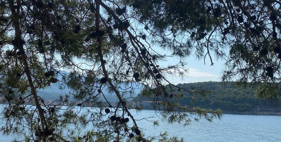 остров хвар, отдых в хорватии, остров хвар что посмотреть, адриатическое море, отдых на море 2025, сплит