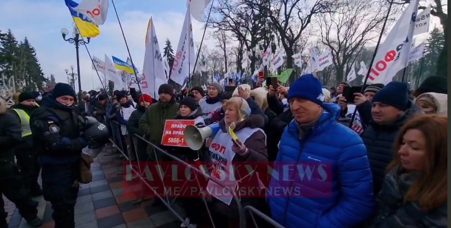 ФОПы, ФЛП, SаveФОП, митинг под радой, верховная рада