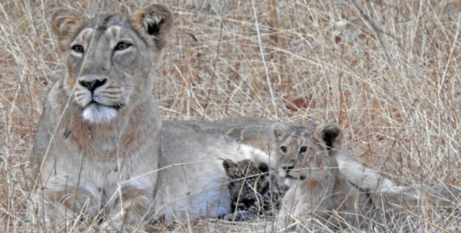 Фото: unilad.co.uk