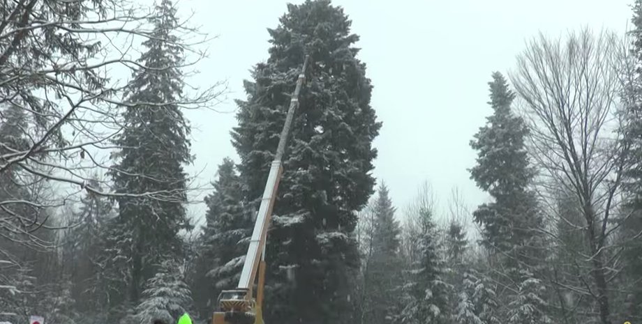 Скриншот: YouTube / TV Karpaty