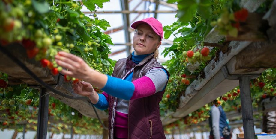 Фото: Mikko Koski / Yle