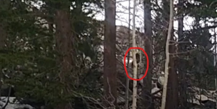 снежный человек в Калифорнии