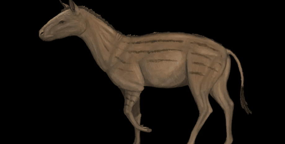 эволюция, исследования, лошади, животные, останки, следы, копыта, пальцы, открытия, наука, ученые, кости, амортизация