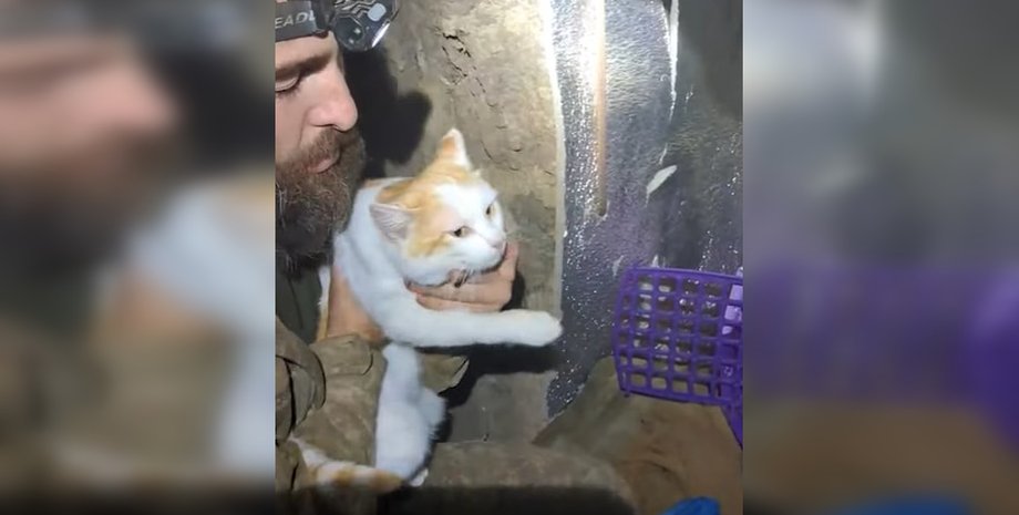 Евакуація кота з передової на НРК