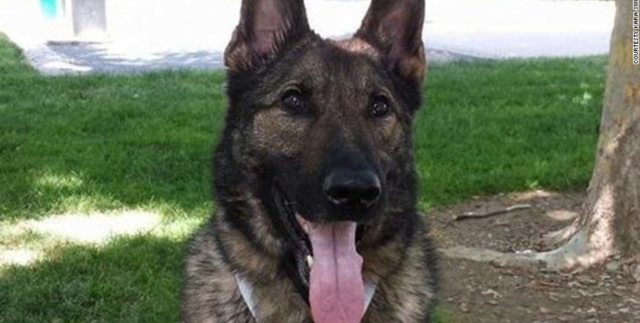 Фото с сайта CNN