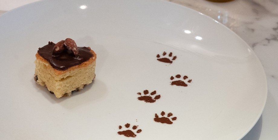 кошачье меню, ресторан кошачье меню, ресторан, Нью-Йорк