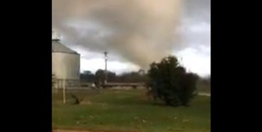 Фото: Скриншот из видео