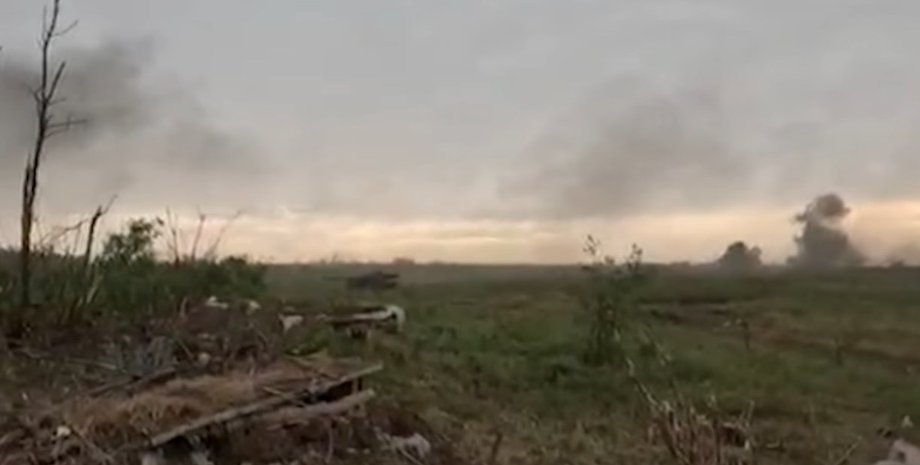 Леопард в бою