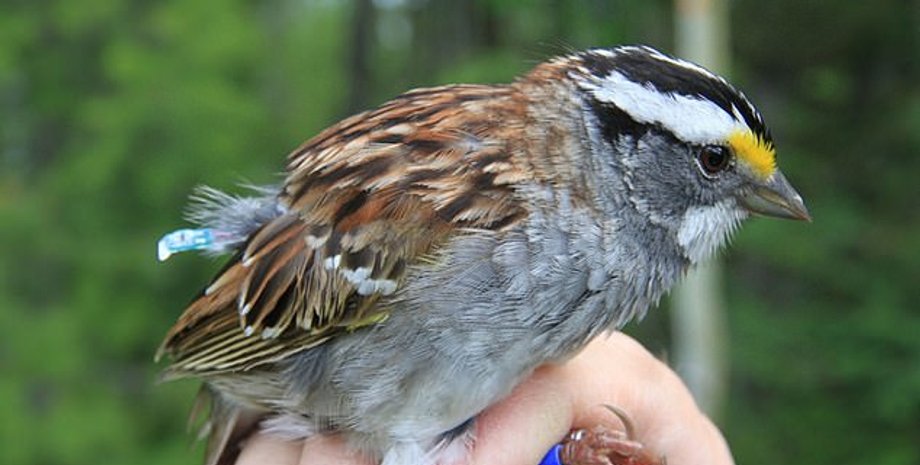 Фото: Daily Mail