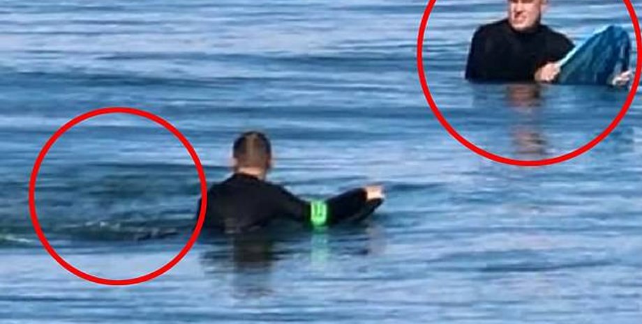 Фото серфера перед нападением акулы