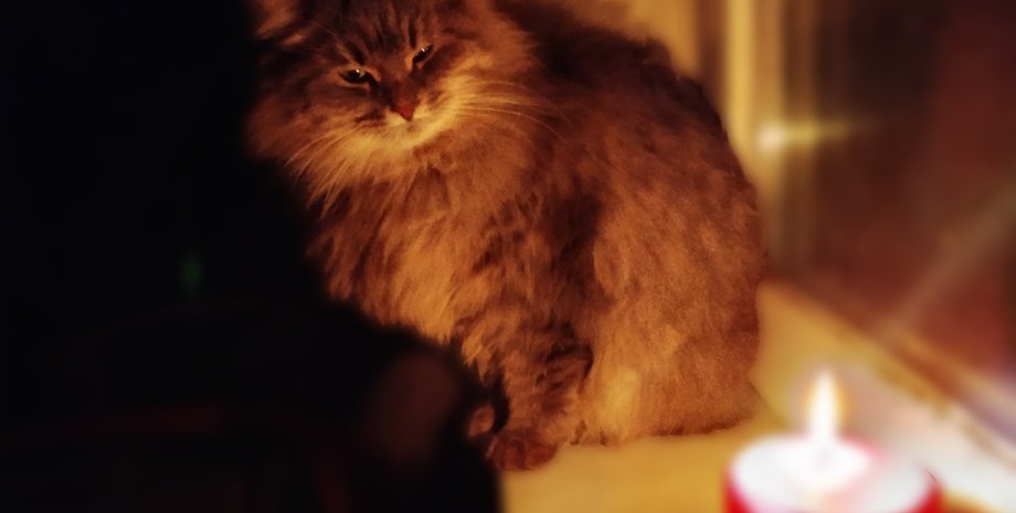 Відключення світла в Україні: нардеп розповів, як довго діятимуть графіки (відео)