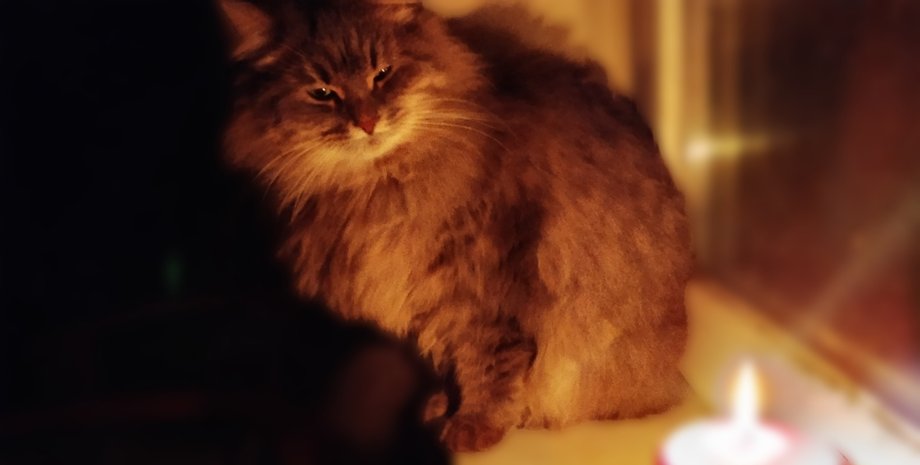 Блекаут у Києві У яких регіонах діятимуть графіки відключень світла 21 січня