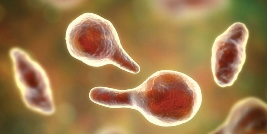 лихорадка Ласса, вирус Эбола, лихорадка Эбола, Англия, Африка, лихорадка Ласса в Великобритании