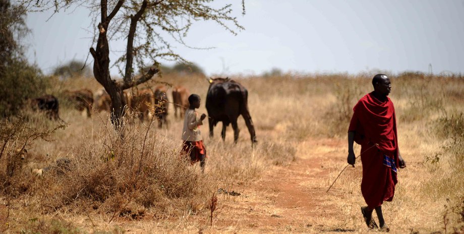 глобальное потепление, изменения климата, жара, жаркая погода, лето, летние месяцы