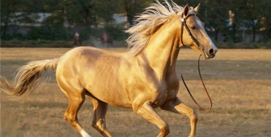 Фото: shinecity.diary.ru