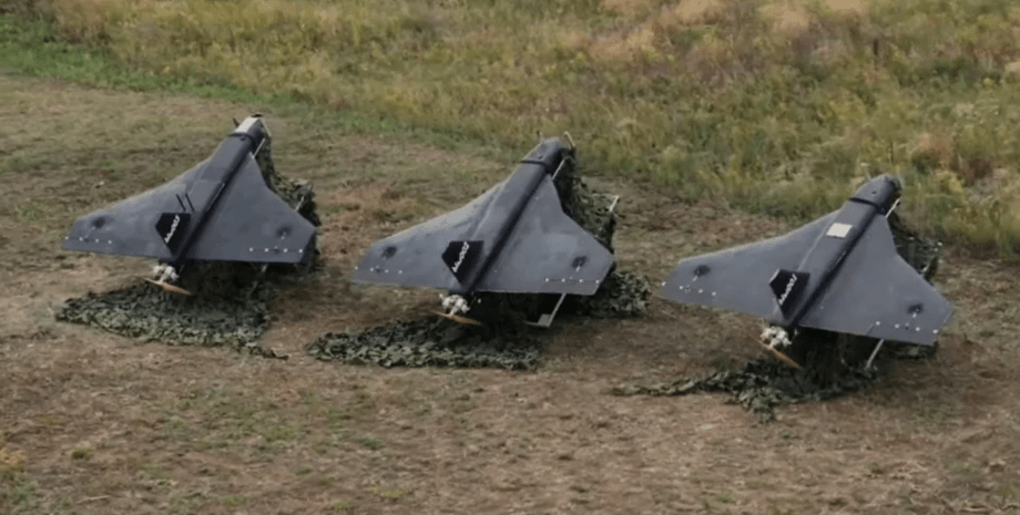 Российские шахеды,дроны-приманки, шахеды