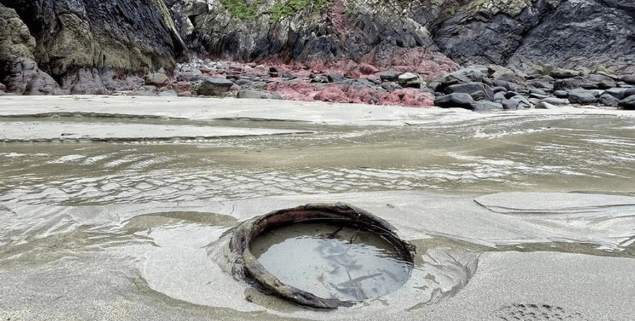 Пляж в Уэльсе, пляж Каерфай, мина, водная мина, мина времен Второй мировой войны, бросили в песку, опасно для жителей,