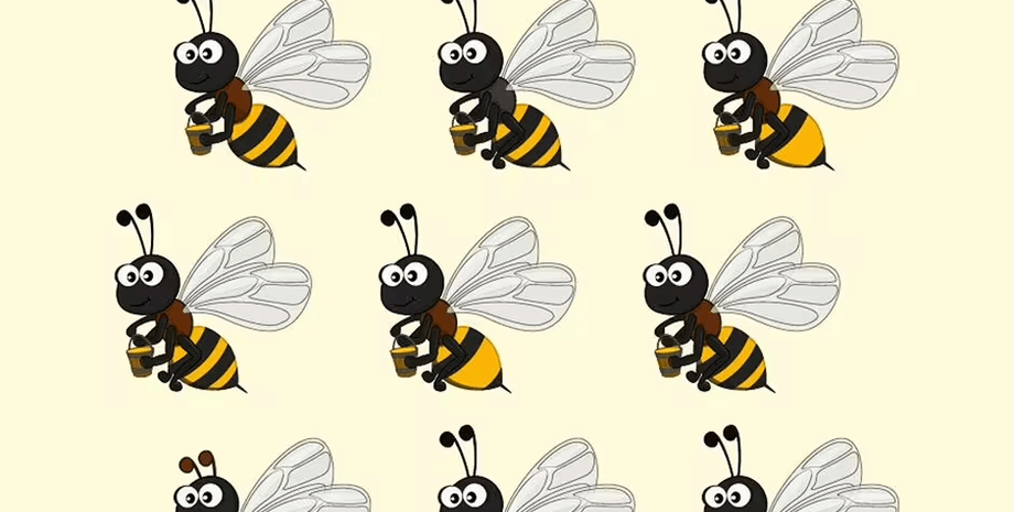 Визуальная головоломка, пчелы, задачка с пчелами, найди отличия, проверка зрения, проверка внимания, тест на наблюдательность, высокий IQ,