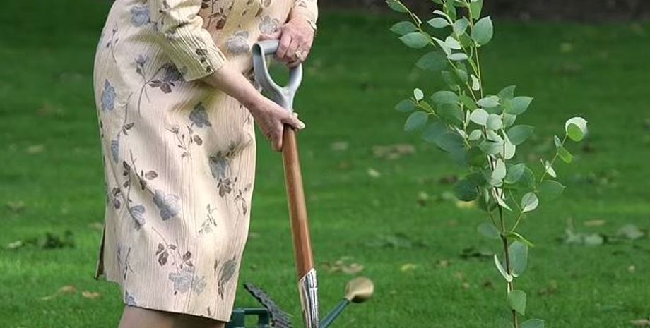 Єлизавета II, королева Єлизавета