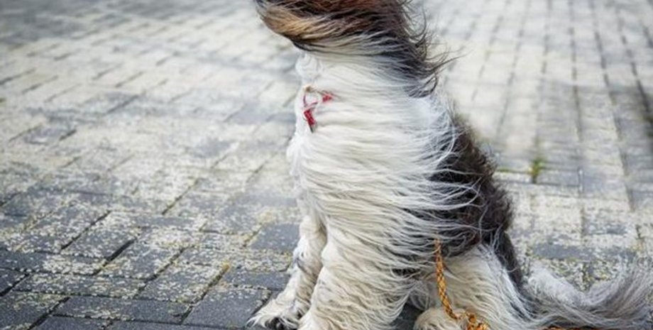 Фото: Телеканал "Академия"