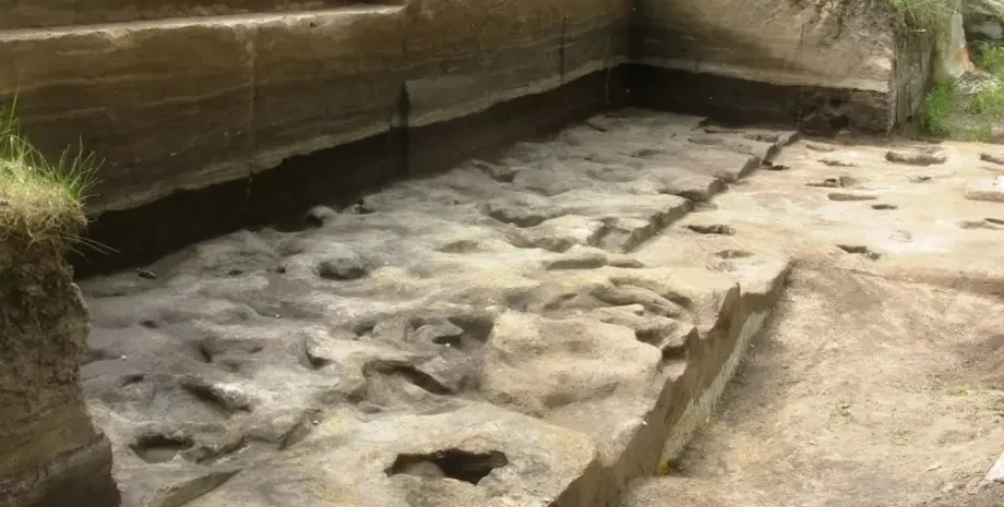 древние следы человека, палеолитическая стоянка Шенинген, экологическая история, доисторическая экосистема, ранние человеческие приюты, древняя дикая природа, Германия, научное открытие, древние люди, история, археология