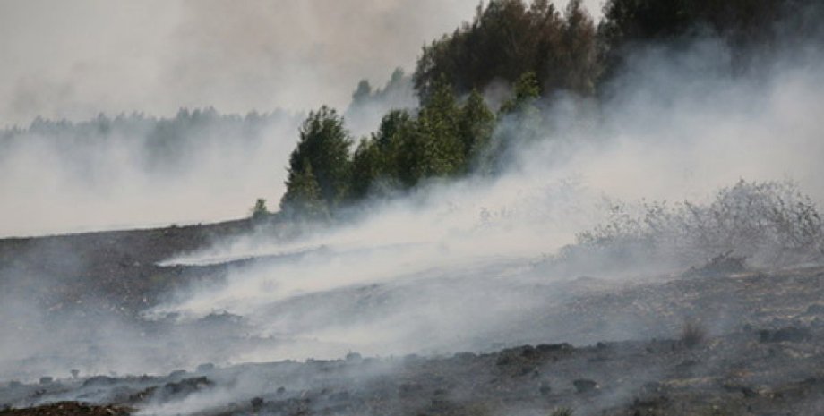 Фото: ГУ МЧС в Киевской области