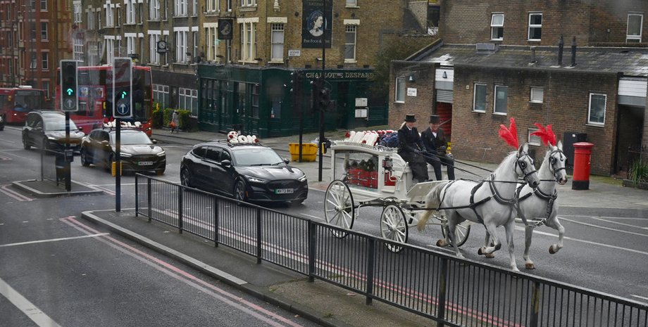 В одній країні зросло число "нетипових" ДТП: все через коней і нестримних водіїв