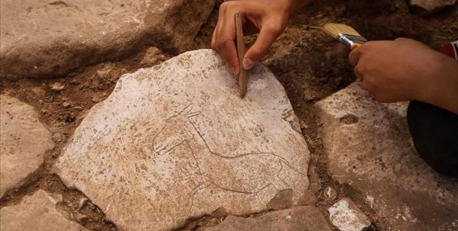 археологи, археологія, фігура, розкопки, дослідники, осел, віслюк, зображення, малюнок, культура, Туреччина, знахідка, споруда, камінь, неоліт, тварина, люди