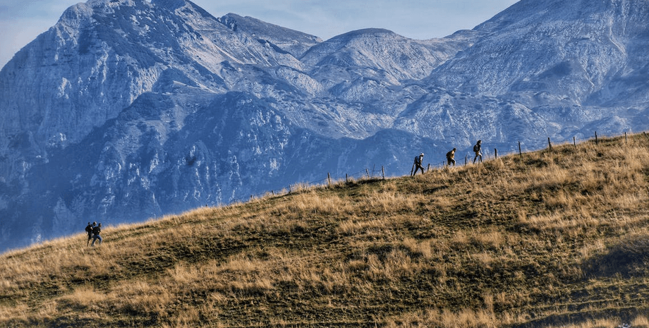 Пауки напали на туристов, длинноногие пауки, насекомые, длинноногие насекомые, паук, спальный мешок, облепили палатку, напали на туристов