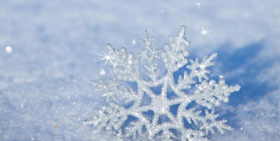 Фото: Событие