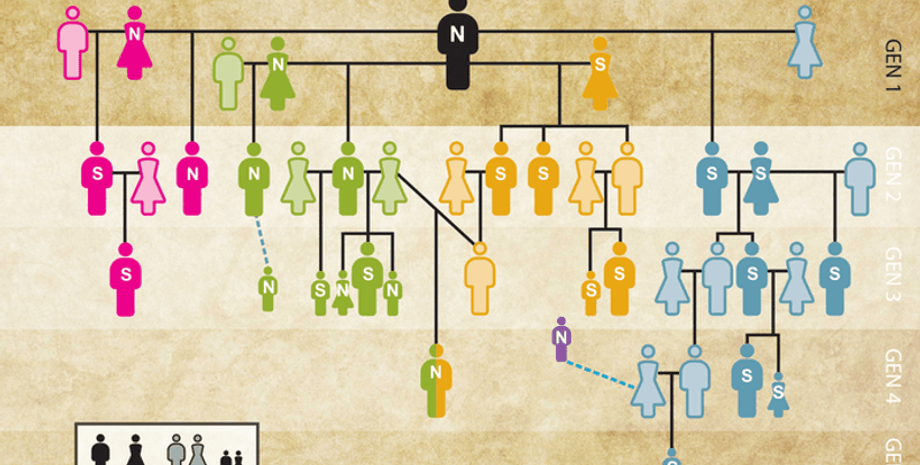 ДНК, геном, кости, зубы, семья, патриарх, родство, семья, жена, сестра, брат, курган, захоронение, раскопки, исследователи, возраст, история, наука