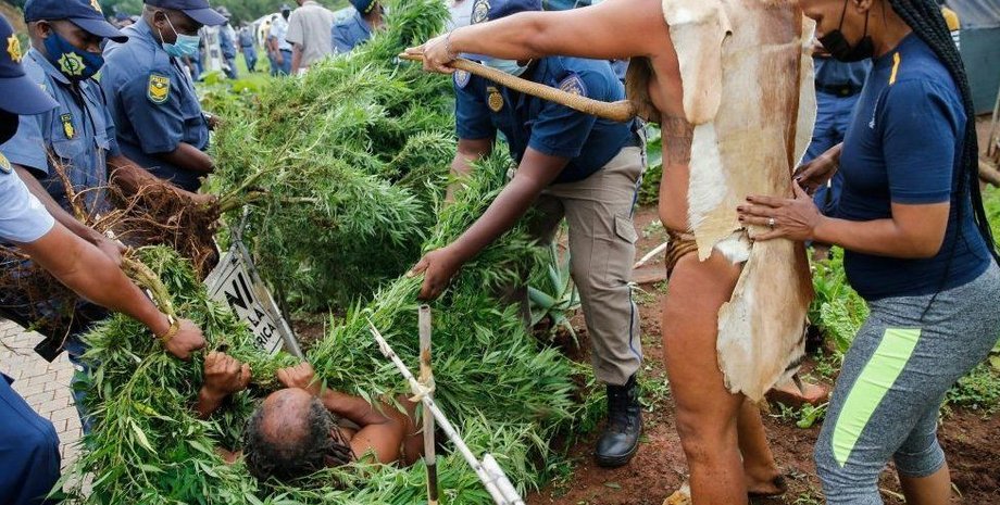 полиция, ЮАР, конопля, канабис, президент