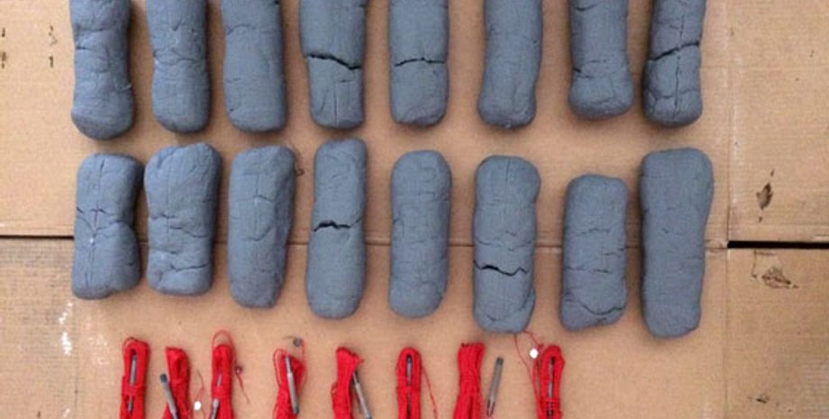 Изъятая взрывчатка / Фото: Пресс-служба Нацполиции