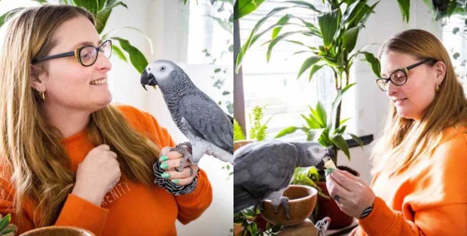 Переможниця лотереї, кімната для папуг, птахи, домашні папуги, купила телевізор для папуг, дивляться серіал,