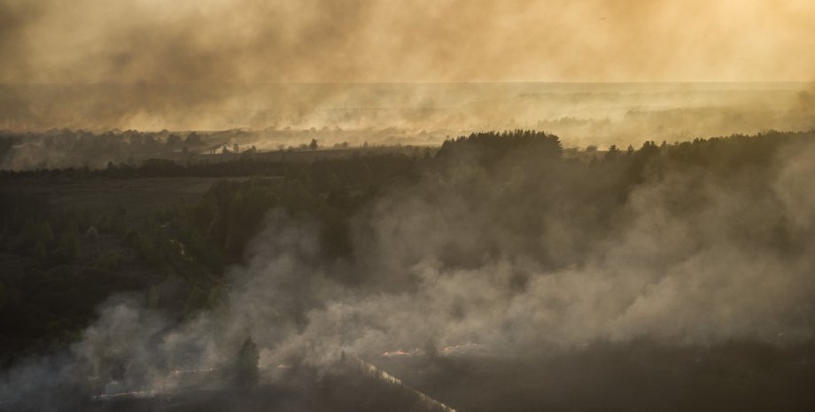 Пожар в зоне отчуждения / Фото пресс-службы Кабмина
