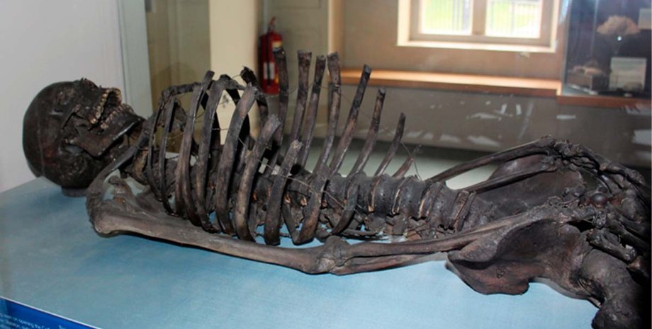 Бронзовий вік, людина, археологія, відкриття, скелет, поховання, аналіз, артефакт, Скарборо, воїн, обличчя, розкопки, знахідка, труна, клей