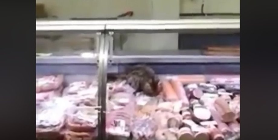 Фото: Скриншот