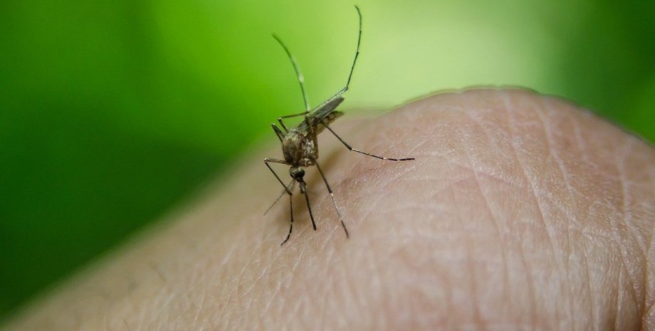 малярия, комары, танзания