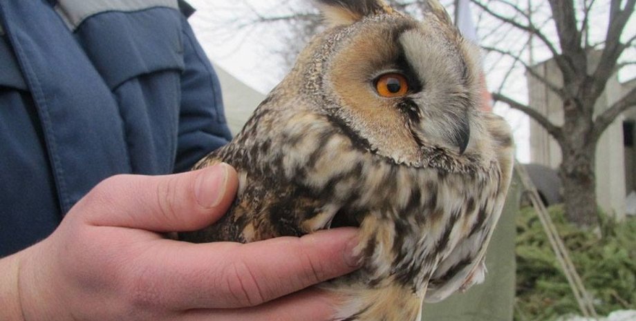 Фото: facebook.com/MNS.GOV.UA