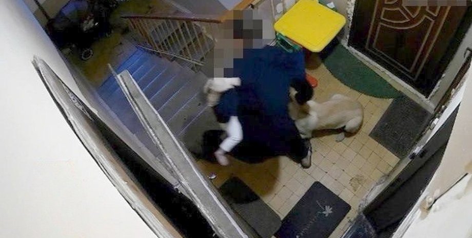 побиття собаки, побиття собаки у Києві, жорстоке поводження з тваринами, киянин побив собаку