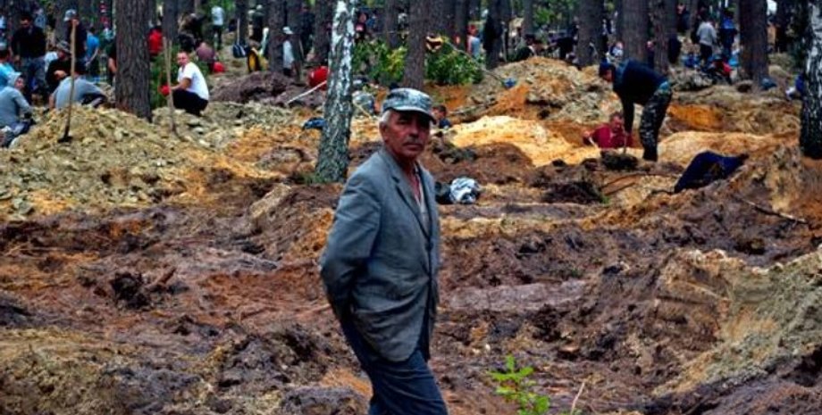 Фото: openforest.org.ua