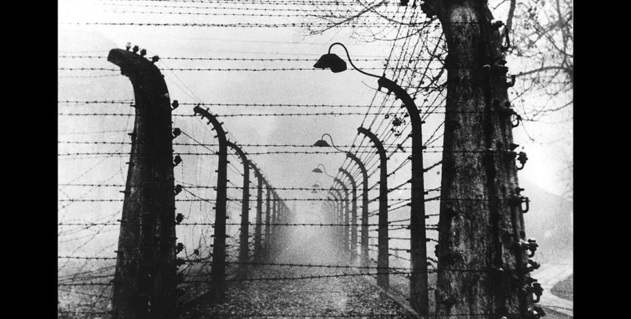 Фото: The Holocaust Explained