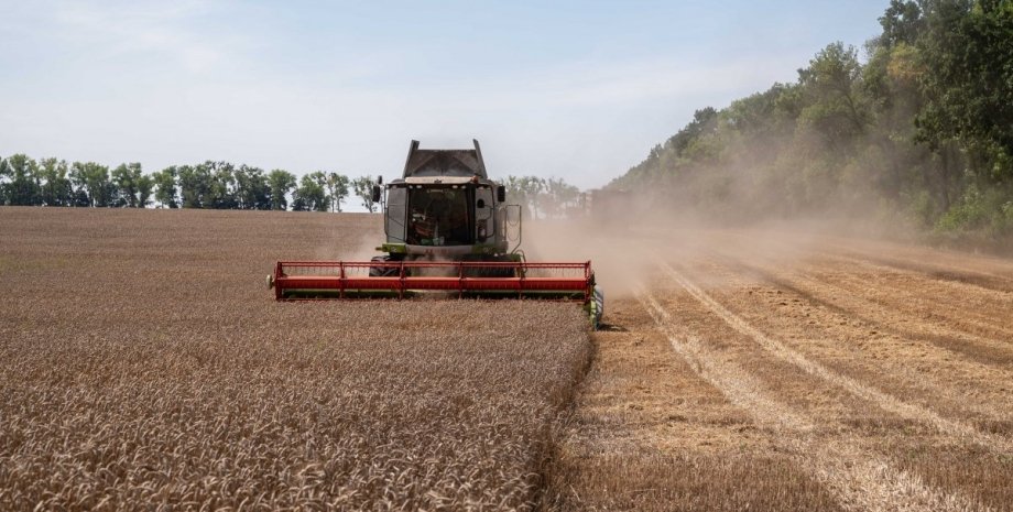 Рынок земли, земельная реформа, рынок земли 2024 Рынок земли, земельная реформа, рынок земли 2024