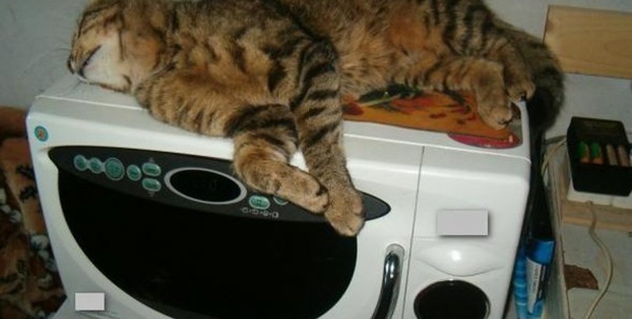 Фото: ТЕХНО bigmir)net