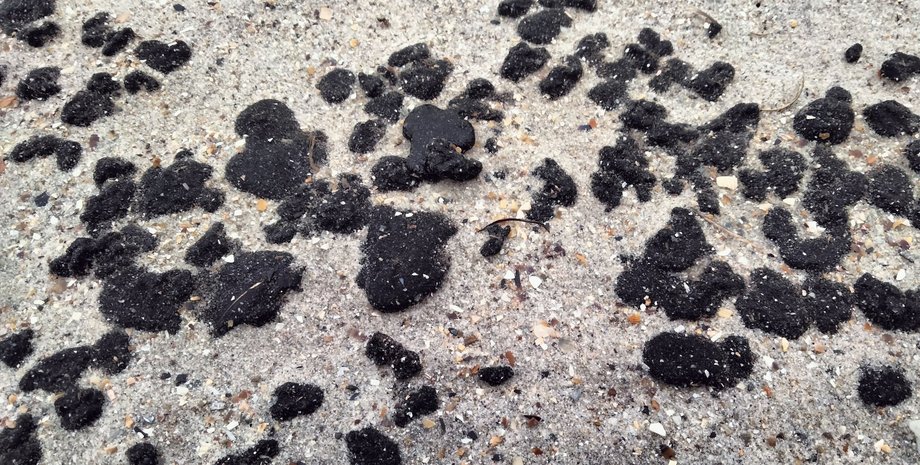 мазут, утечка мазута в Черное море, мазут в Черном море, мазут, утечка мазута, разлив мазута