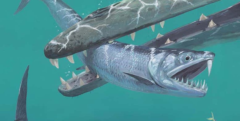 Иллюстрация: Joschua Knüppe