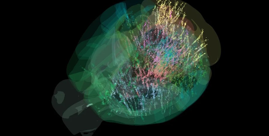 самая полная карта головного мозга