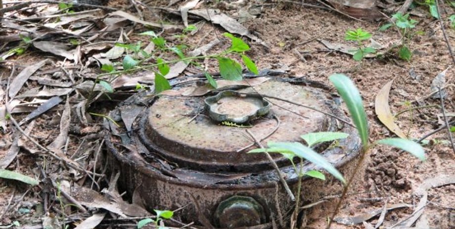 Фото: defense-arab.com