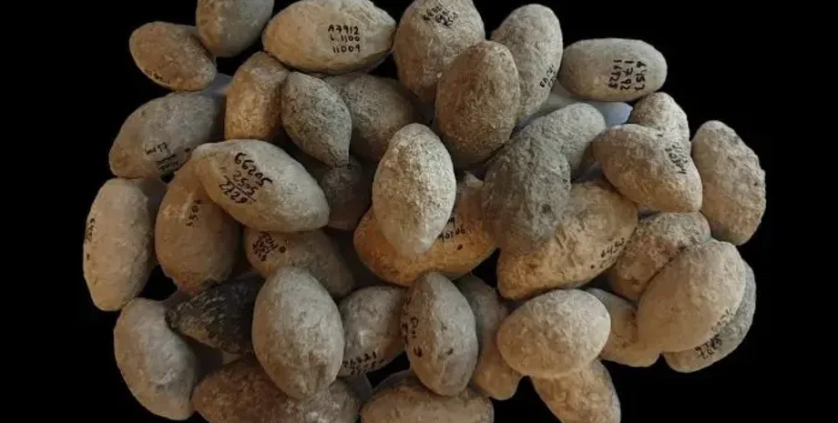 Стародавнє виробництво зброї, археологія Південного Леванту, праща, Дослідження Управління старожитностей Ізраїлю, доісторична війна, Масштабне виробництво пращ, Виявлення історичної зброї, Зброя ранніх цивілізацій